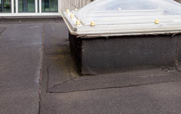 disadvantages of Ulcat Row flat roofs